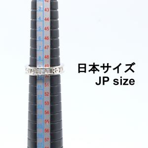 ヴィヴィアンウエストウッド ウェストミンスター...の詳細画像4