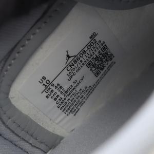ディオール DIOR × Nike Air J...の詳細画像5