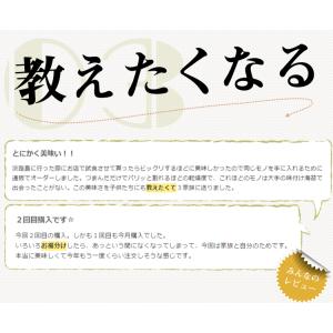 大江のり 自宅用 6本 48枚入 通販限定特別...の詳細画像2