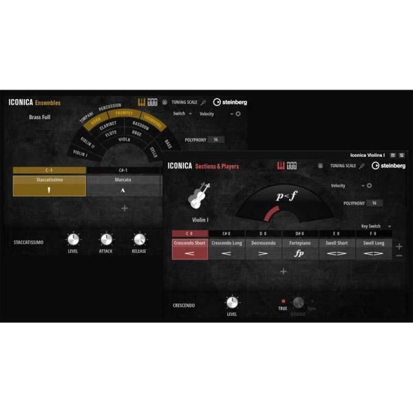 スタインバーグ Iconica Opus Steinberg DTM ソフトウェア オーケストラ音源...