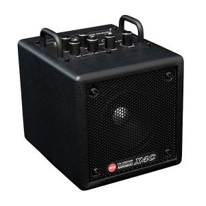 ［レア］LAG エレアコ T100ASCE-BLK（オリジナルソフトケース付） LAG Guitars TRAMONTANE 100 T100ASCE-BLK ラグギターズ エレアコ 送料