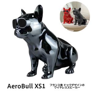 特典付】正規品 エアロブル Aerobull XS 1 ポータブル 充電式 Chrome