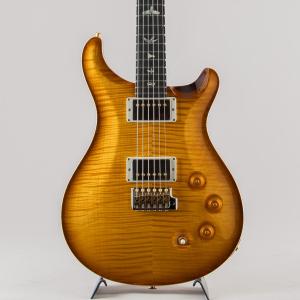 PRS ポールリードスミス DGT Birds 10Top McCarty Sunburst 2025