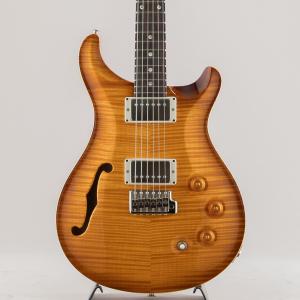 PRS ポールリードスミス DGT Semi-Hollow Limited Edition 