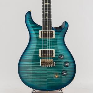 PRS ポールリードスミス Wood Library DGT CC Black Color Back 2025
