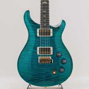 PRS ポールリードスミス Miki 200th Anniv. Wood Library DGT 