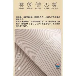 チェアマット 防音 ラグマット カーペット 大...の詳細画像1