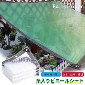 防水シート 透明 PE ビニールシート 雨よけ シート 屋外 防水 防風 防塵 庭園 植物 冬夏 保護 カバー ロープ付き ビニール温室 保温 透明 温