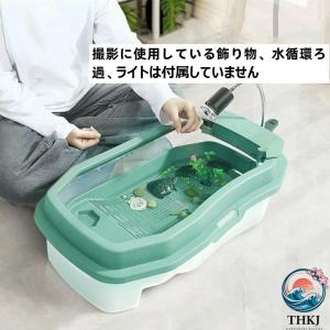 亀の水槽 爬虫類 両生類用品 水族館 カメの水...の詳細画像4