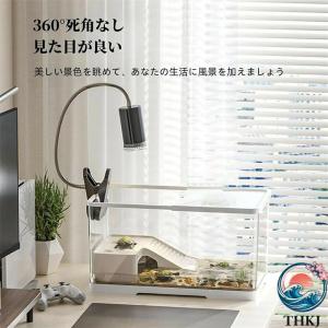 亀の飼育ケース 亀 水槽 大きい カメ用水槽 ...の詳細画像1