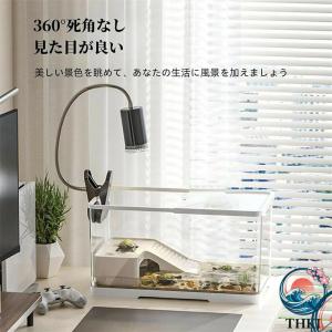 亀の飼育ケース 亀 水槽 大きい カメ用水槽 ...の詳細画像1