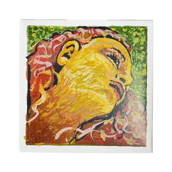 EVAH PIRAZZI NEO 【 G線 41B421 】 エヴァ ピラッツィ ネオ 4/4 テン...