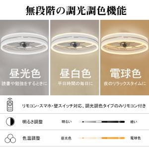 シーリングファン シーリングファンライト LE...の詳細画像4