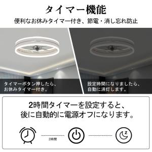 シーリングファン シーリングファンライト LE...の詳細画像5