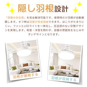 【限定クーポン3980円】シーリングファンライ...の詳細画像3