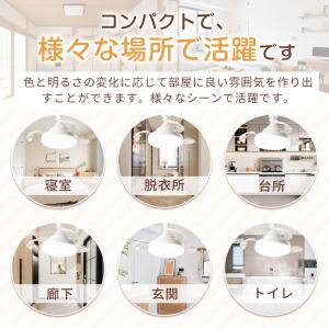 【限定クーポン3980円】シーリングファンライ...の詳細画像4