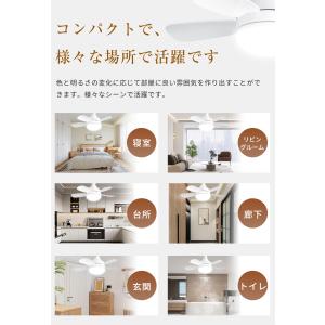 【限定クーポン3980円】シーリングファンライ...の詳細画像1