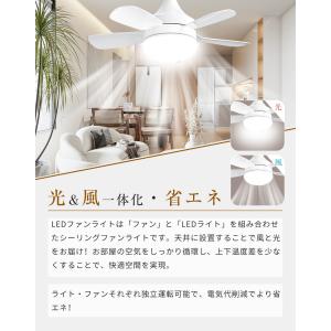 【限定クーポン3980円】シーリングファンライ...の詳細画像3