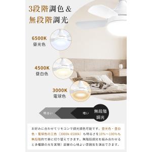【限定クーポン3980円】シーリングファンライ...の詳細画像5