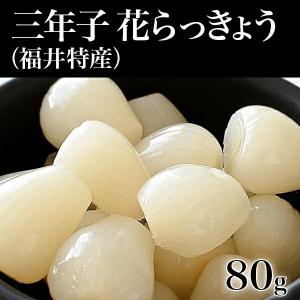 福井県産 花らっきょう 三年子 80g袋入り 最安値 価格比較 Yahoo ショッピング 口コミ 評判からも探せる