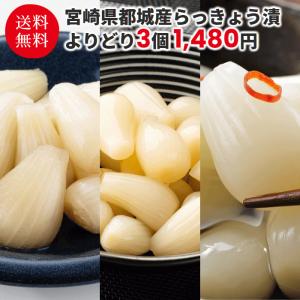 欲しい方ゆうてください rsuganesha.com