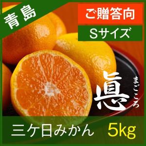 三ケ日みかん 青島みかん 静岡 三ヶ日 5kg 真心 Sサイズ ご贈答向け