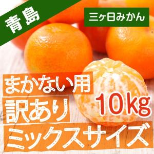 三ケ日みかん 訳あり 青島みかん 静岡 三ヶ日 10kg ミックスサイズ まかない用