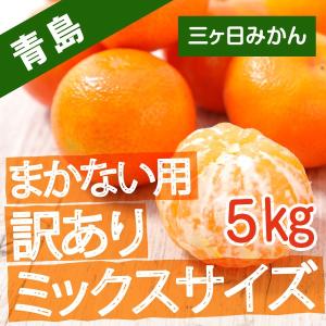 三ケ日みかん 訳あり 青島みかん 静岡 三ヶ日 5kg ミックスサイズ まかない用
