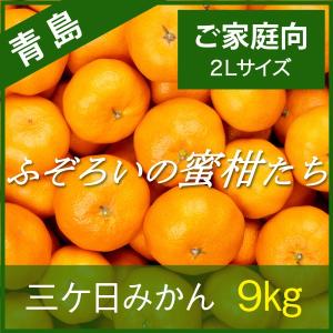 三ケ日みかん 青島みかん 静岡 三ヶ日 9kg ふぞろいの蜜柑たち 2Lサイズ ご家庭向け