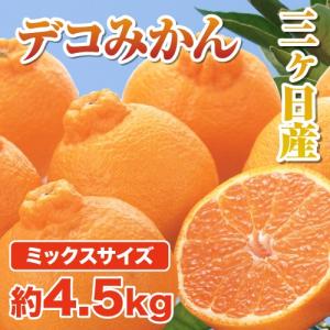 三ケ日みかん 家庭用 デコみかん デコポン 静岡 三ヶ日 4.5kg ミックスサイズ