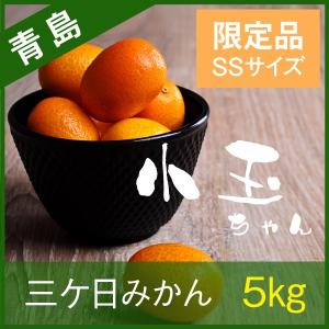 三ケ日みかん 青島みかん 静岡 三ヶ日 5kg 小玉ちゃん SSサイズ 限定品