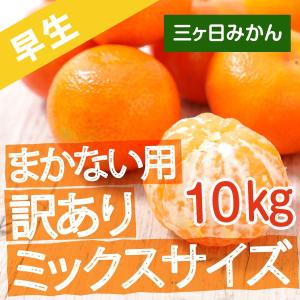 三ケ日みかん 訳あり 早生みかん 静岡 三ヶ日 10kg ミックスサイズ まかない用