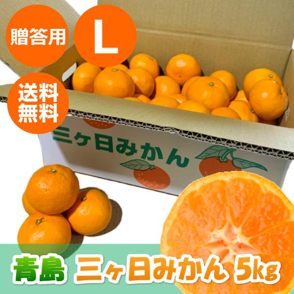 三ケ日みかん贈答用青島Lサイズ（5kg）