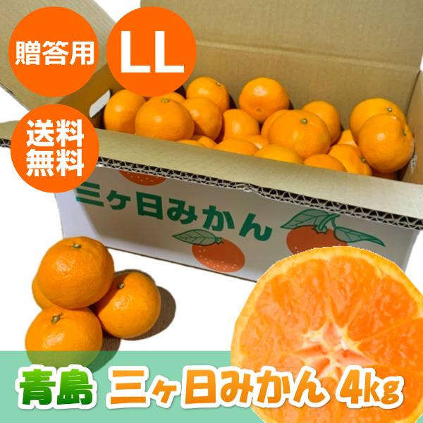 三ケ日みかん贈答用青島LLサイズ（4kg）