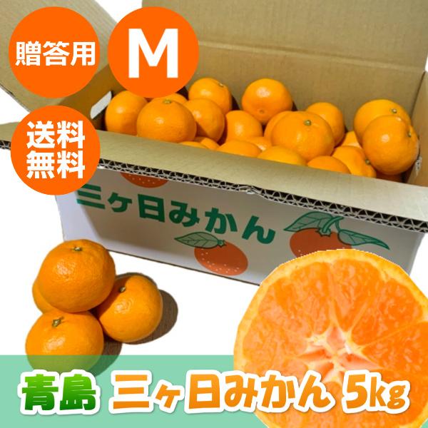 三ケ日みかん贈答用青島Mサイズ（5kg）