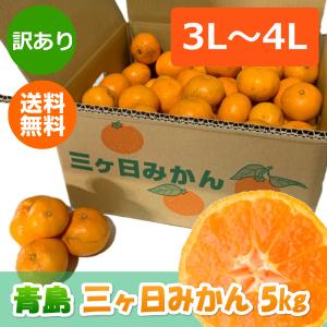 三ケ日みかん 青島 訳ありみかん ３L-４L (8kg)