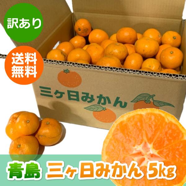 三ケ日みかん 青島みかん 訳あり（不揃い・キズ有り）（5kg）