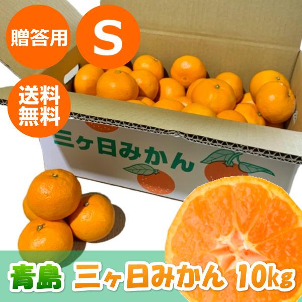 三ケ日みかん贈答用青島Sサイズ(10kg)