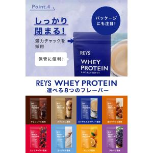 REYS レイズ ホエイ プロテイン 山澤 礼...の詳細画像4