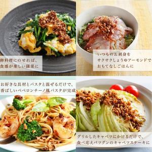 調味料 人気 【 発酵のちから サクサクしょう...の詳細画像3