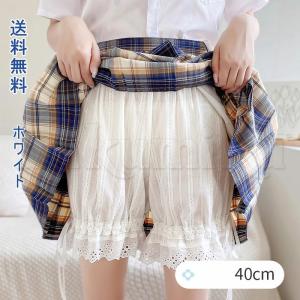STAUD スタウド 23AW Evelyn グラデーションケーブルニット