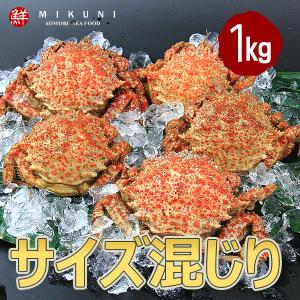 春の味覚！ 青森産トゲクリガニ (1kg：特大サイズ〜中サイズ混じり)：メス4〜7杯