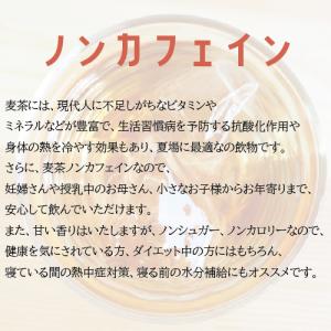 フルーツ麦茶(パイナップル) 10g×10p(...の詳細画像3
