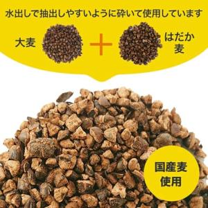 フルーツ麦茶(パイナップル) 10g×10p(...の詳細画像5