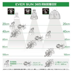 ゼンスイ PLAREA 植物育成LED EVE...の詳細画像4