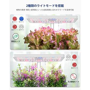 iDOO 水耕栽培セット 水耕栽培キット 野菜...の詳細画像1