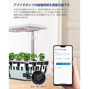 iDOO 水耕栽培セット 水耕栽培キット 野菜...の詳細画像2