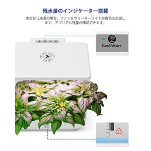 iDOO 水耕栽培セット 水耕栽培キット 野菜...の詳細画像3