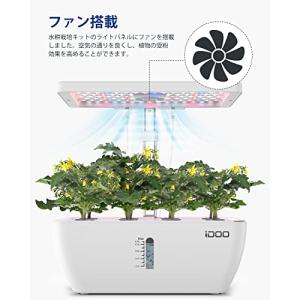 iDOO 水耕栽培セット 水耕栽培キット 野菜...の詳細画像4