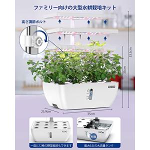 iDOO 水耕栽培セット 水耕栽培キット 野菜...の詳細画像5